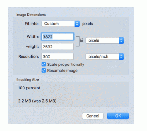 Aplicația Mac Preview - meniul Dimensiuni imagine