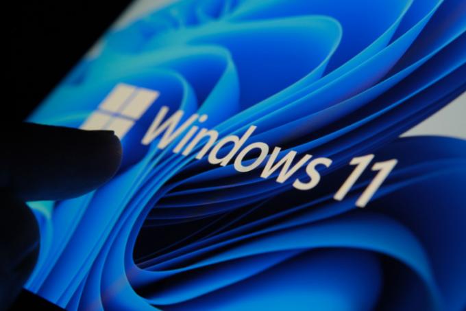 Vývojárske zostavy systému Windows 11