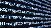 ჩვენ მალე შევძლებთ დნმ-ისგან დამზადებული კომპიუტერების გაზრდას