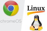 Dukungan Asli Untuk Aplikasi Linux Hadir di Semua Chromebook Apollo Lake