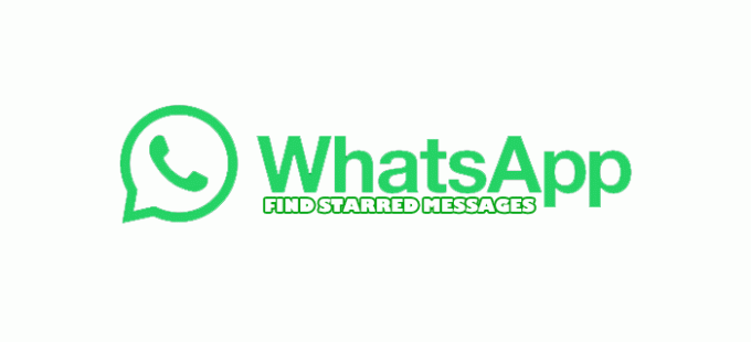 როგორ მოვძებნოთ ვარსკვლავიანი შეტყობინებები WhatsApp-ში