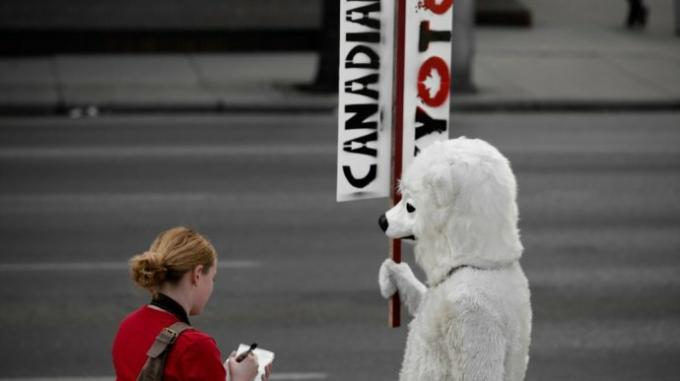 polar_bear_protest