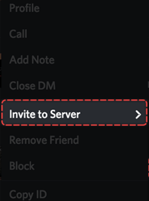 pakviesti į serverį
