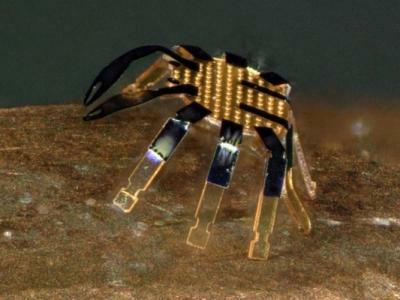 Najmenší robot na diaľkové ovládanie na svete vyzerá ako malý krab