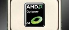 AMD Opteron 6100 apžvalga