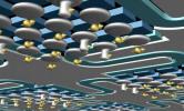 A fizikusok feltalálják a „flip-flop” qubitet – a kvantumszámítás egy teljesen új formáját